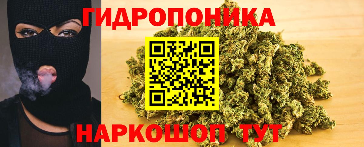 Канабис White Widow  Канабис планчик  Вход с VPN  Ессентуки  Бошки Шишки SATIVA & INDICA 